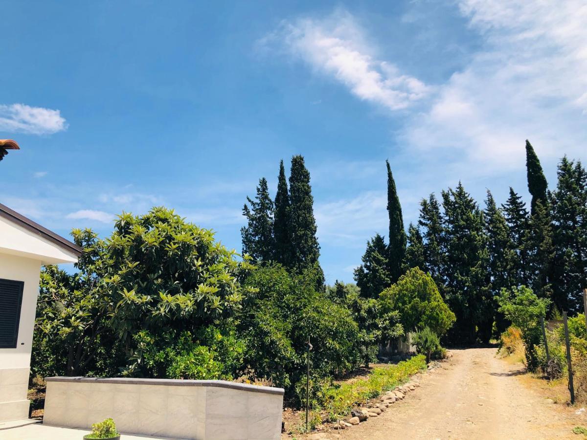 Villetta Gallo B&B Casa Vacanze Humanitas Catania Centro Sicilia Clinica Humanitas Misterbianco Eksteriør bilde